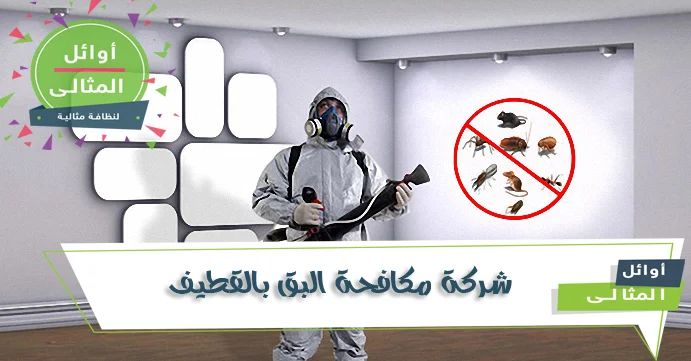 شركة مكافحة البق بالقطيف القضاء علي البق نهائيا وباحداث الطرق – المنزل المثالي