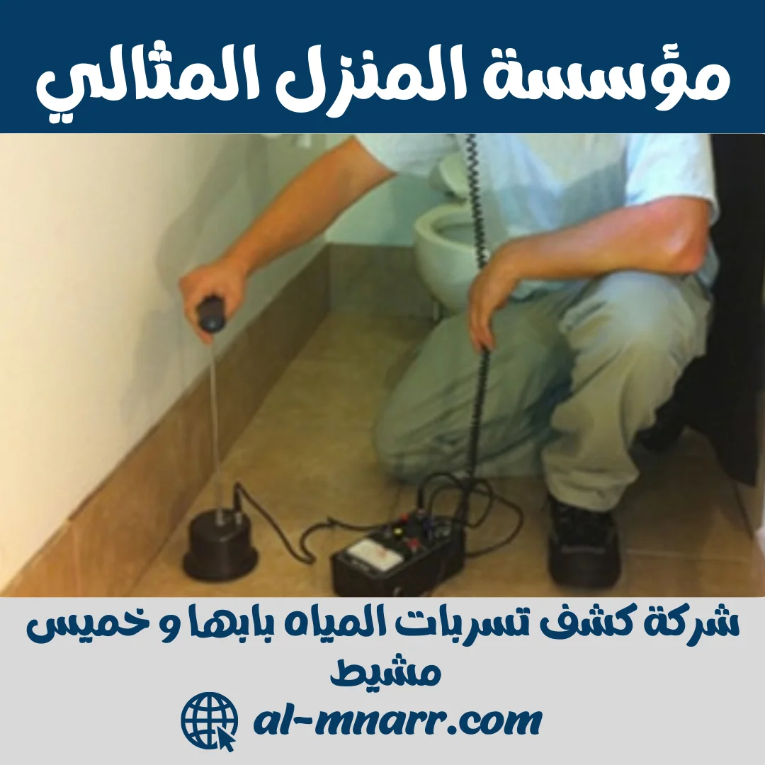 شركة كشف تسربات المياه بابها وخميس مشيط 0506051316 بدون تكسير 1 شركة كشف تسربات المياه بابها وخميس مشيط بدون تكسير