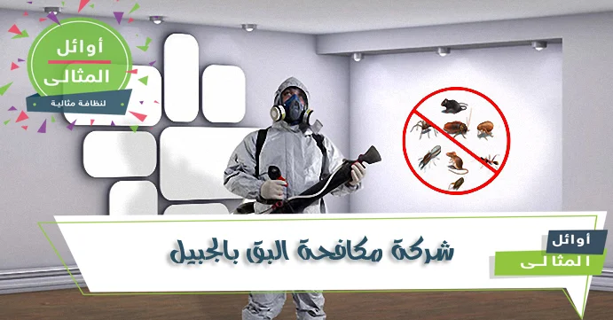شركة مكافحة بق الفراش بالجبيل | إبادة بضمان