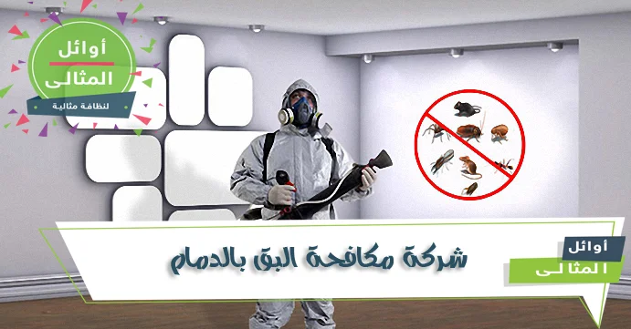 شركة مكافحة بق الفراش بالدمام | المنزل المثالي