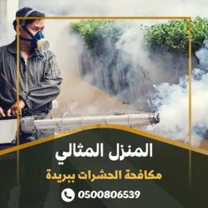مكافحة حشرات ببريدة مكافحة حشرات ببريدة