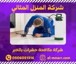 شركة مكافحة حشرات بالخبر شركة مكافحة حشرات بالخبر