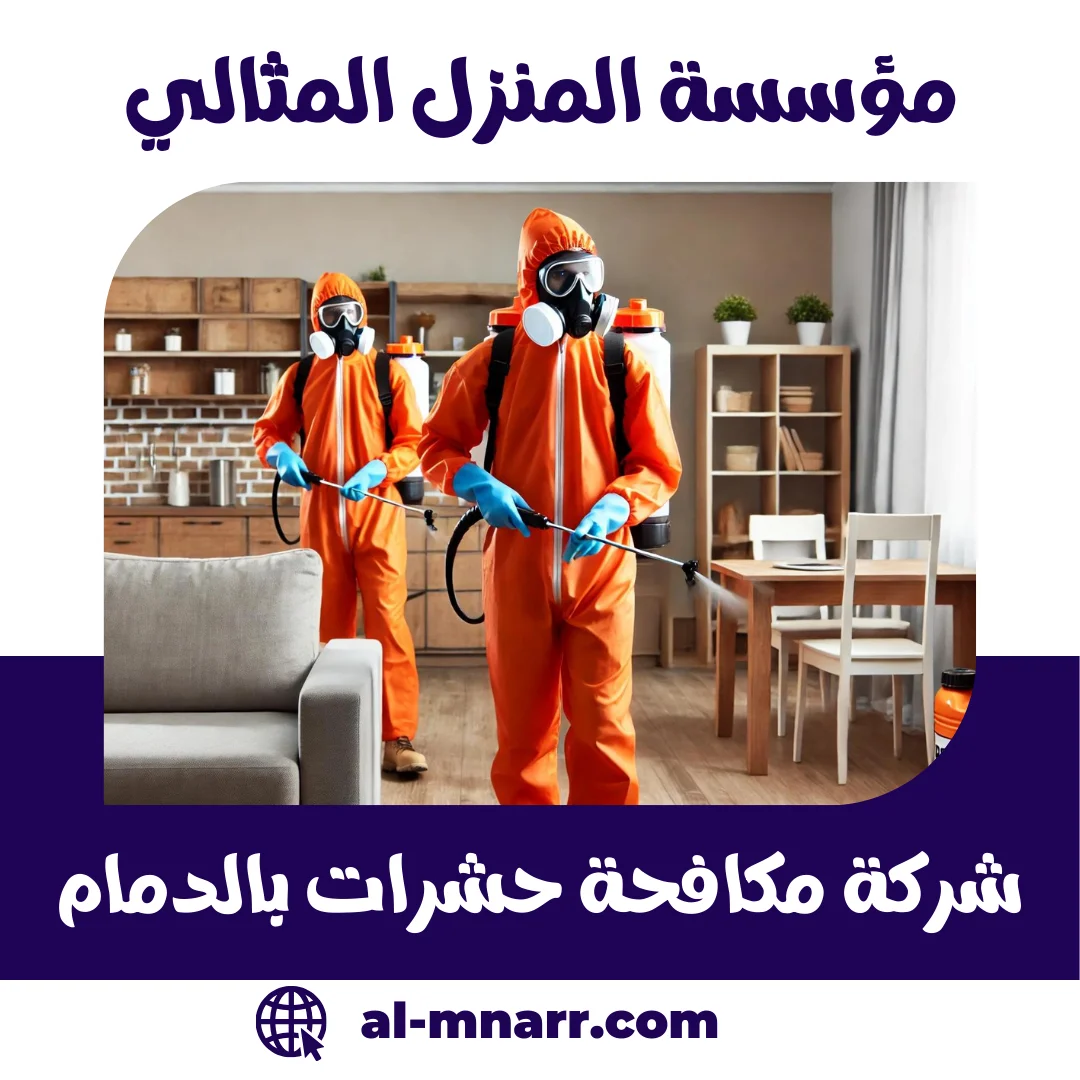 شركة مكافحة حشرات بالدمام – خدمات متكاملة لمكافحة جميع أنواع الآفات