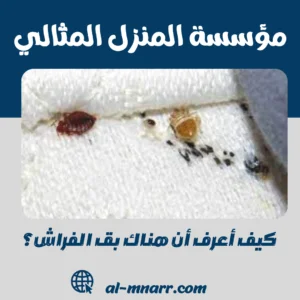 كيف أعرف أن هناك بق الفراش؟ كيف أعرف أن هناك بق الفراش؟
