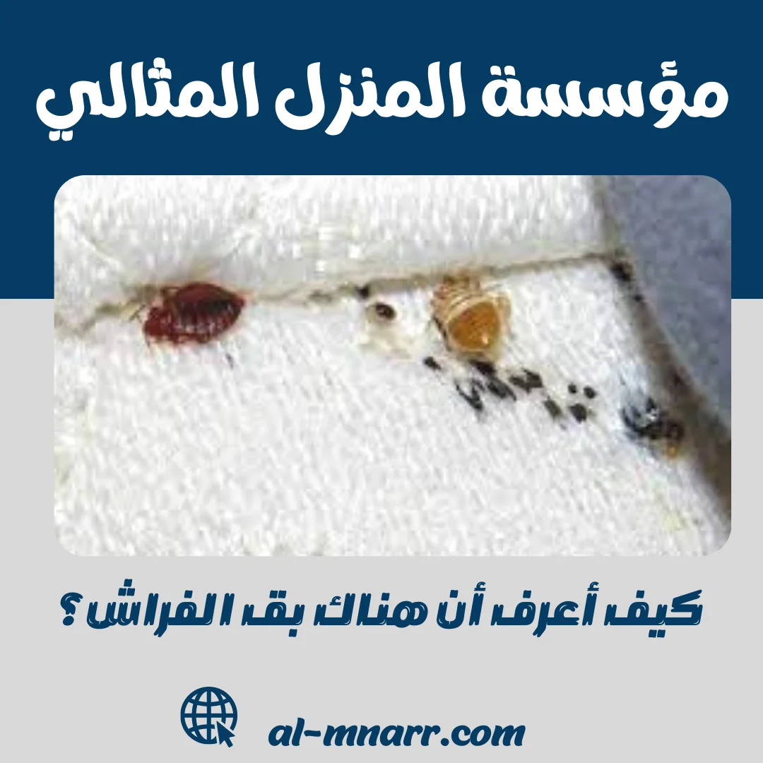 كيف أعرف أن هناك بق الفراش؟ 1 كيف أعرف أن هناك بق الفراش؟