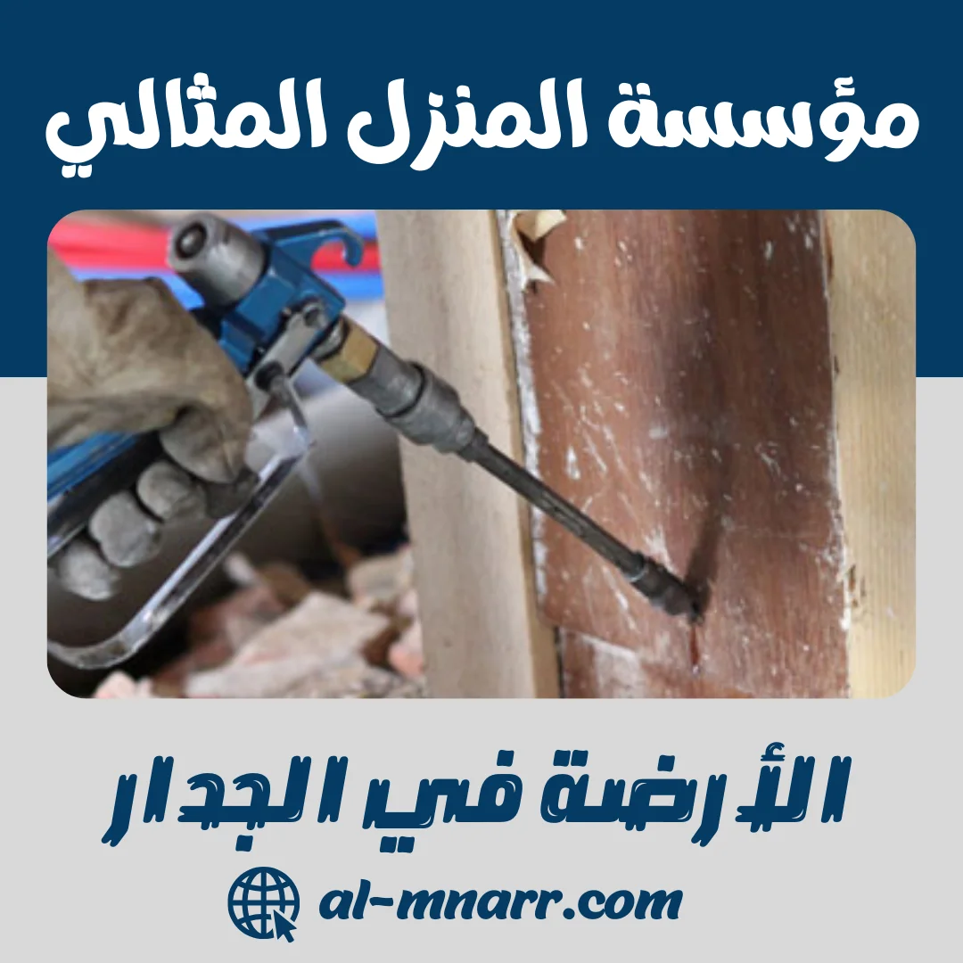 الأرضة في الجدار