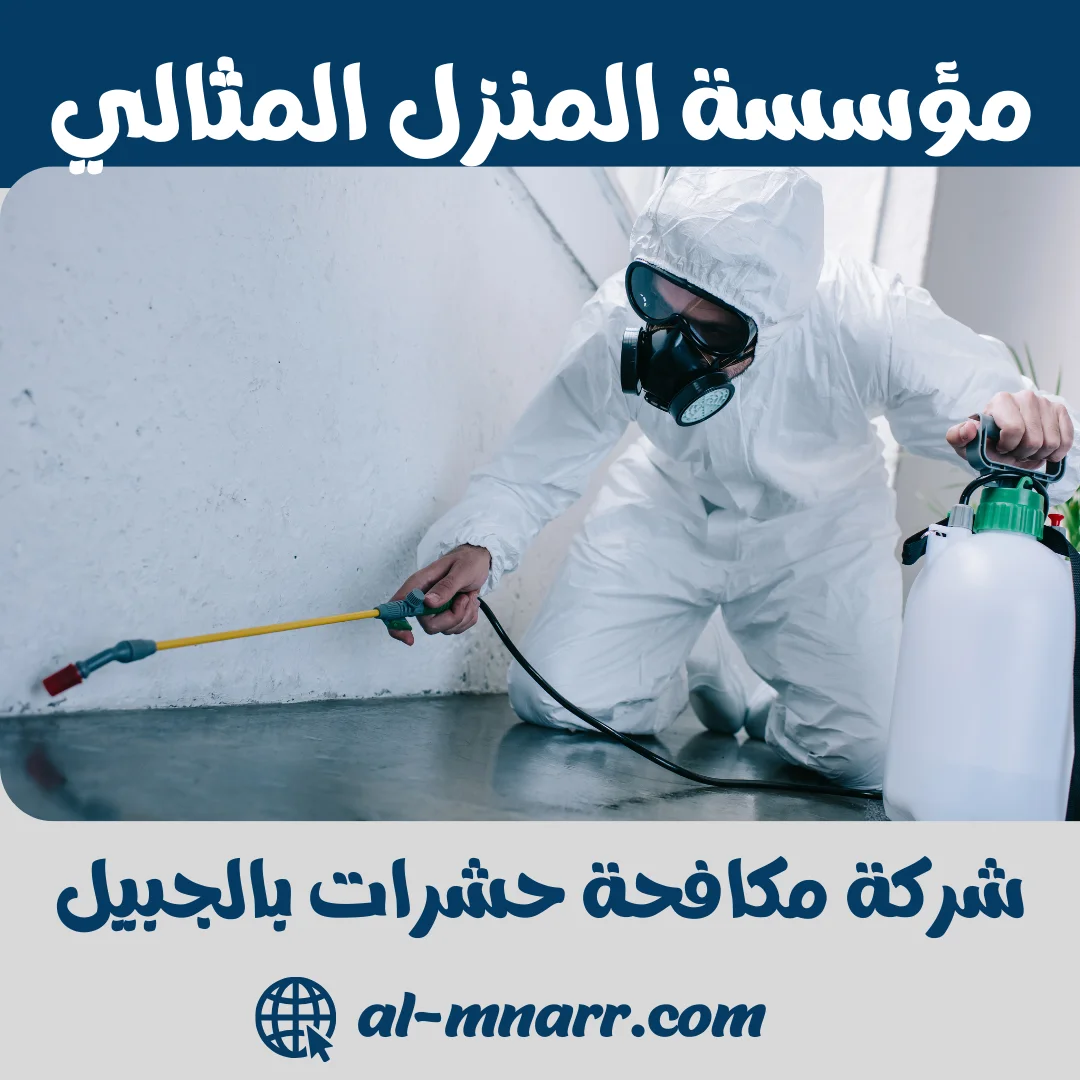شركة مكافحة حشرات بالجبيل رش و ابادة الحشرات المنزلية بالجبيل