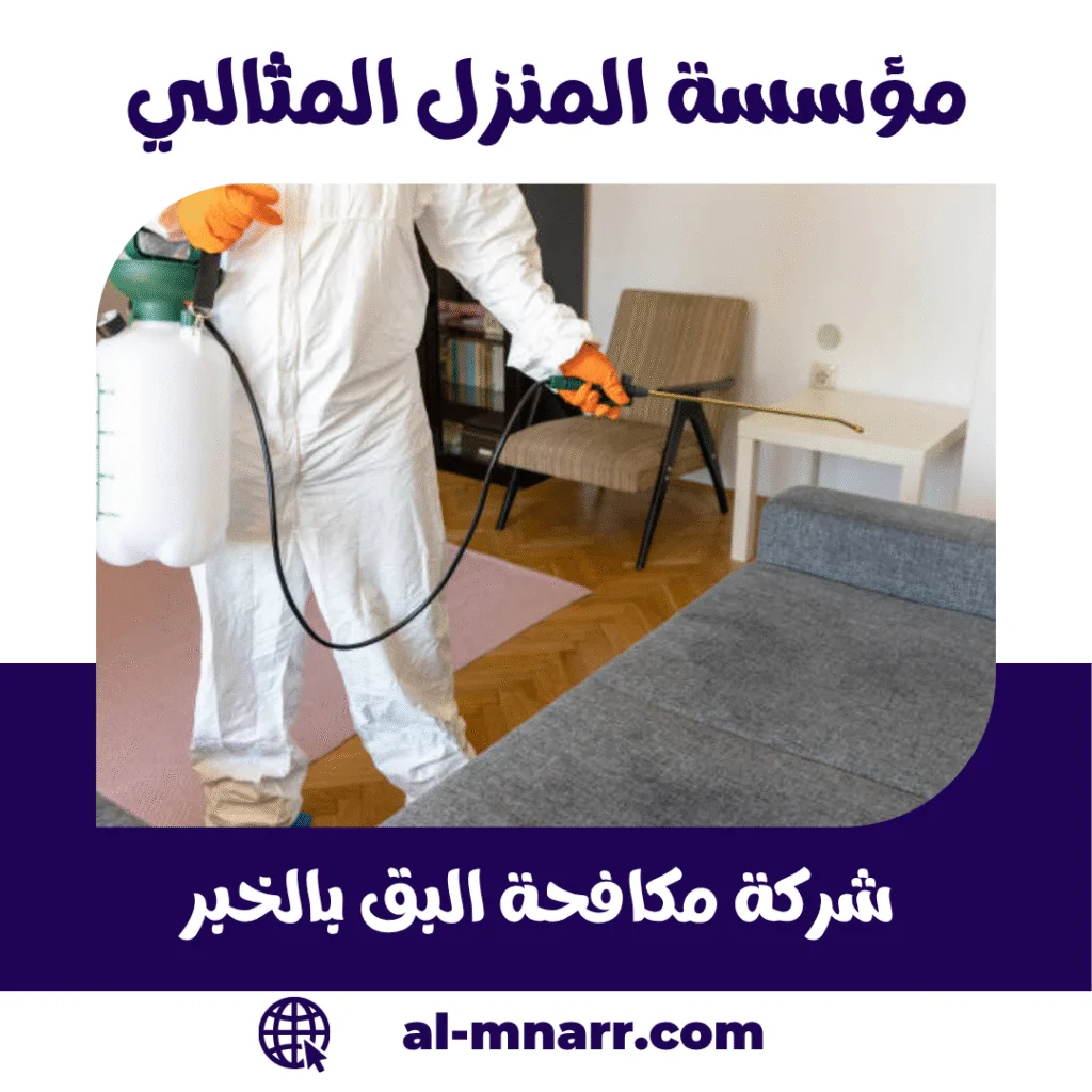 شركة مكافحة البق بالخبر شركة مكافحة البق بالخبر