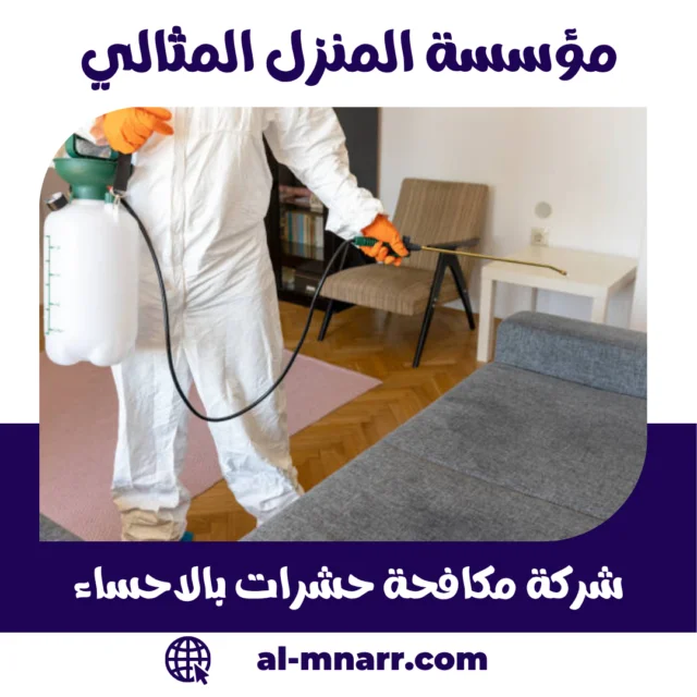 شركة مكافحة حشرات بالاحساء ابادة فورية بالضمان