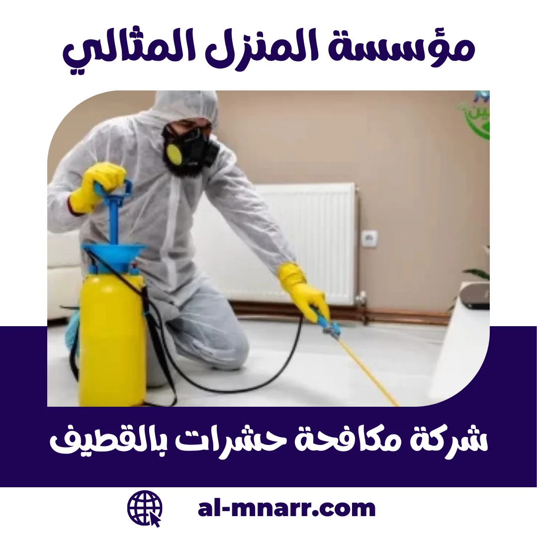 شركة مكافحة حشرات بالقطيف رش مبيدات آمنة ومعتمدة